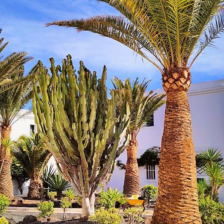 Flor De Las Dunas Pools Wifi Tennis Bikes For Free Corralejo Eksteriør bilde